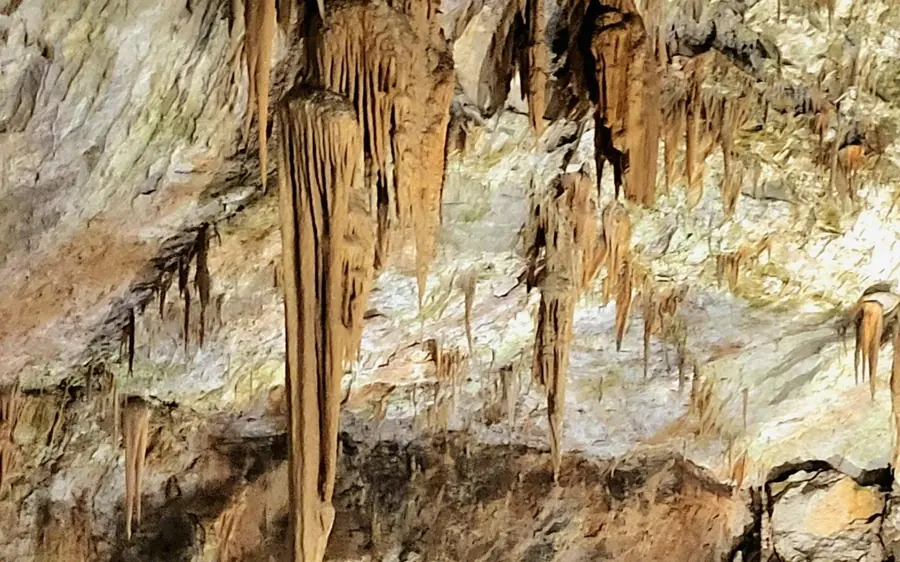 A cave chamber of brown and cream stalactites and stalagmites under soft light